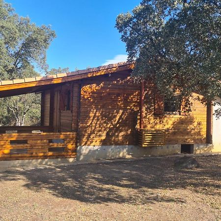 Chalet Climatise Porticcio Corse Fontanaccio Kültér fotó