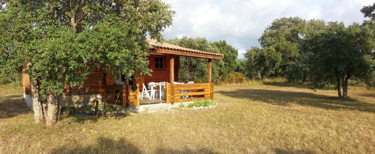 Chalet Climatise Porticcio Corse Fontanaccio Kültér fotó